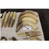 Image 1 : LOT OF 4 HIPPO TUSKS AND 6 HIPPO TEETH