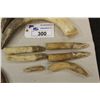 Image 4 : LOT OF 4 HIPPO TUSKS AND 6 HIPPO TEETH