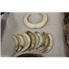 Image 2 : LOT OF 9 UPPER AND 7 LOWER HIPPO TUSKS