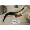 Image 1 : MOUNTED HORN 22" LONG