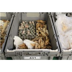 LARGE COLLECTION OF SEASHELLS- 100+ VOLUTE CLARKEI