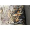 Image 2 : LARGE COLLECTION OF ASSORTED SEASHELLS- 100+