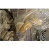 Image 3 : LARGE COLLECTION OF ASSORTED SEASHELLS- 100+