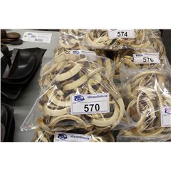 BAG OF 50+ PIG TUSKS