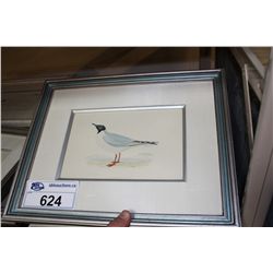 LOT OF 6 NICELY FRAMED BIRD PRINTS WITH LINEN MATTING 9" X 6"