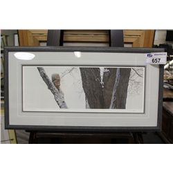 T. ISAAC "FROZEN SQUIRREL" LIMITED EDITION FRAMED PRINT, SIGNED LOWER RIGHT 19" X 15" 616/1500