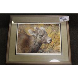 CARL BRENDERS  GOAT  LIMITED EDITION FRAMED PRINT, SIGNED LOWER RIGHT 17  X 12  579/1950