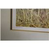 Image 3 : W. KUHNERT, "ELEPHANT" FRAMED PRINT 17" X 14" C.1950