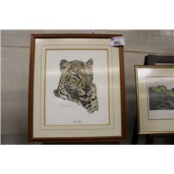 GUY COHELEACH  CHINESE LEOPARD  FRAMED PRINT 15  X 18 