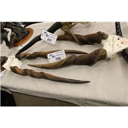 MALE AND FEMALE ELAND SKULL AND HORNS