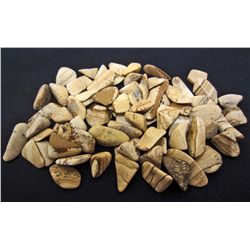 LOT OF 763.5 CTS ARIZONA PETRIFIED WOOD TUMBLED 76 PCS