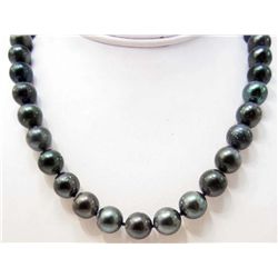 TAHITIAN SOUTH SEA CULTURED PEARL NECKLACE