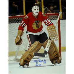 Tony Esposito Signed Blackhawks 16x20 Photo Inscribed "HOF 88" (Schwartz COA)