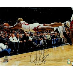 Dennis Rodman Signed Bulls 16x20 Photo (NBA & Schwartz COA)