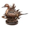 Image 1 : Pintail Bronze Sculpture