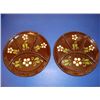 Image 1 : Pair of French old plates from Alsace