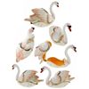Image 2 : Elegant Swan Trinket Box