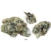 Image 1 : Large, coral-encrusted clump of about 17 Mexico City, Mexico, cob 4 reales, probably all Philip IV, 