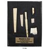 Image 1 : Ivory fan/comb fragments in Riker box, ex-Meylach  collection. From 1733 Fleet.