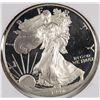 Image 1 : 1996 PROOF SILVER EAGLE