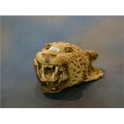 A stuffed and mounted leopard's head £10-20...