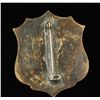 Image 2 : Old West Wells Fargo & Co Express Guard Badge
