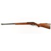 Image 2 : Glenfield Mdl 60 Cal .22 LR SN:69322929