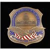 Image 1 : 1993 Inauguration of President D.C. Police Badge
