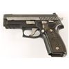 Image 2 : Sig Sauer Mdl P229 Cal .40 S&W SN:AM106119