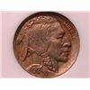 Image 1 : 1918-D Buffalo Nickel Ch MS64 NGC