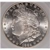 Image 2 : 1884-CC MORGAN DOLLAR SEGS MS-64