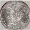 Image 2 : 1996 AMERICAN SILVER EAGLE KEY DATE