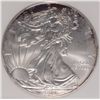 Image 2 : 2009 AMERICAN SILVER EAGLE NAS MS70
