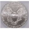 Image 3 : 2005 SILVER AMERICAN EAGLE ICG MS-70