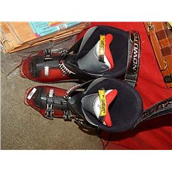SKI BOOTS
