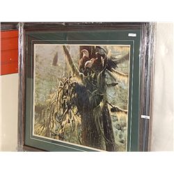 FRAMED PRINT - ENCHANTED FOREST - COLIN BOGLE