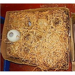 BOX OF NEW GLASS LITE SHADES