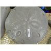 Image 1 : CONCRETE - SAND DOLLAR