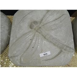 CONCRETE - DRAGON FLY