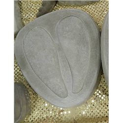 CONCRETE - HOOVES - LARGE