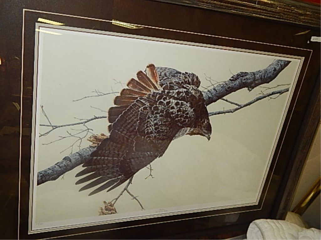 FRAMED LIMITED EDITON PRINT - 'WINTER - RED TAILED HAWK - GEORGE MACLEAN