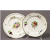 Image 1 : two 19th century english hand-painted porcelain floral motif plates…
