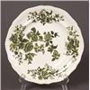 Image 1 : pair spode earthenware floral motif plates…