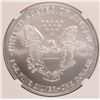 Image 3 : 2004 AMERICAN SILVER EAGLE, NGC MS-69 NICE!