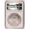 Image 4 : 2004 AMERICAN SILVER EAGLE, NGC MS-69 NICE!