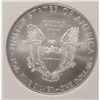 Image 3 : 2008 SILVER AMERICAN EAGLE NGC GEM UNC