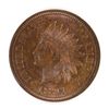 Image 2 : 1891 INDIAN HEAD CENT MS-64 BN