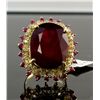 Image 1 : 14 YellowGold 21.64ctw Ruby&Diamond Ring K26E99