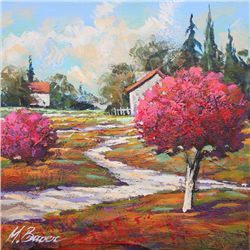 MARK BRAVER "COMING HOME" J480