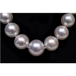 South Sea Pearl 14kt?White Gold?Clasp Necklace K39E92